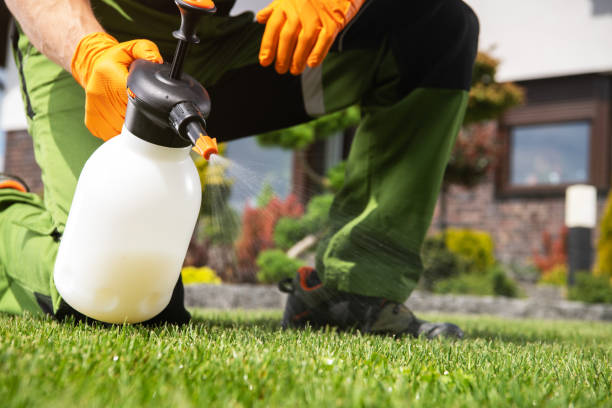Best Emergency Pest Control  in St Simons, GA