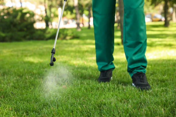 Best Flea Control Services  in St Simons, GA
