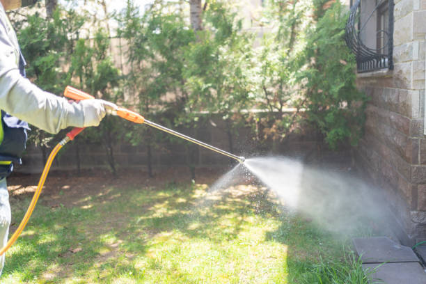 Best Affordable Pest Control Services  in St Simons, GA