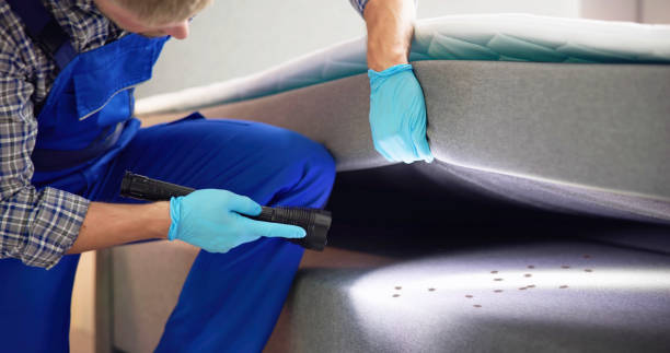 Best Wasp Removal Services  in St Simons, GA