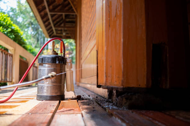 Best Local Pest Control Services  in St Simons, GA