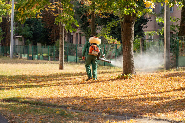 Best Pest Removal Services  in St Simons, GA